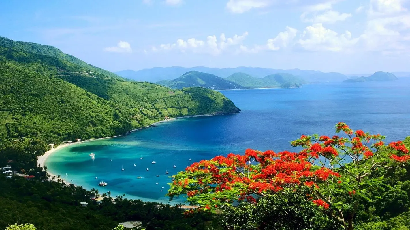 精密高性能